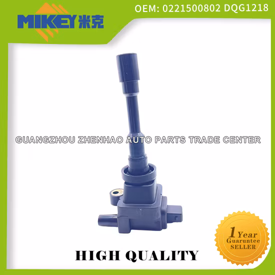 뜨거운 판매 자동차 부품 자동차 액세서리 자동차 액세서리 엔진 부품 점화 코일 Byd F3 Hafei 경마 Hafei 여론 471 Geely 0221500802에 적합